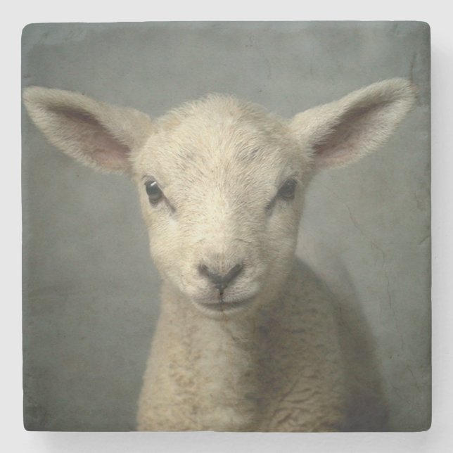 Neugeborenes Lamm Steinuntersetzer (Vorderseite)