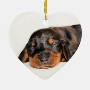 Neugeborenes-Lovebugdoxies Welpenandenken Claire Keramikornament