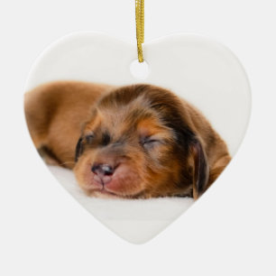 Neugeborenes-Lovebugdoxies Welpenandenken Keramikornament