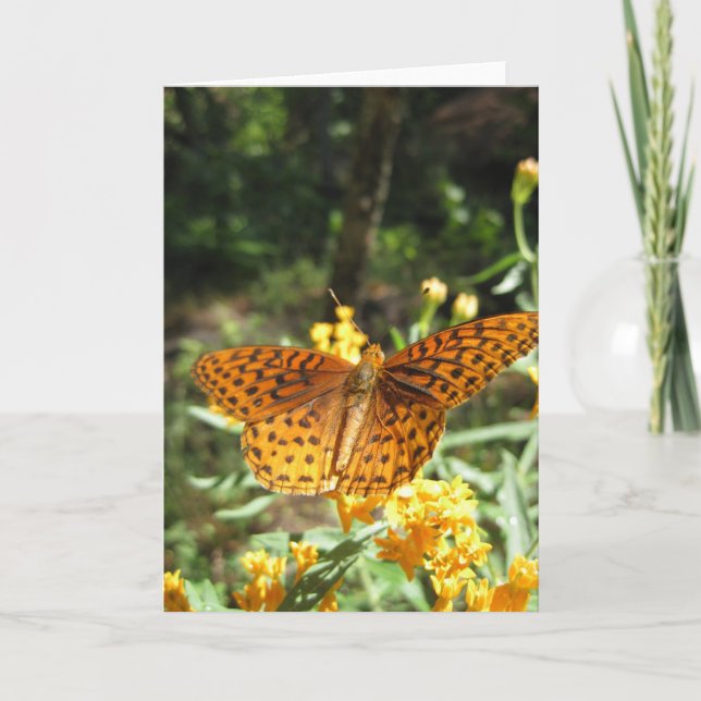 Neugier (3) Grußkarte Karte (Vorderseite)