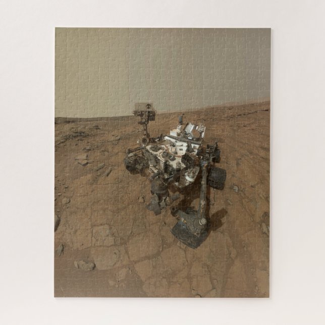Neugier auf der Oberfläche der Mars. (Vertikal)