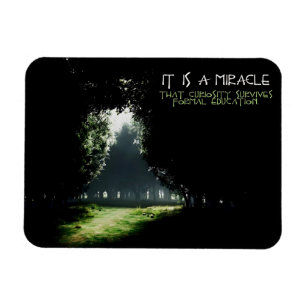 "Neugier" Inspiration flexibel Magnet