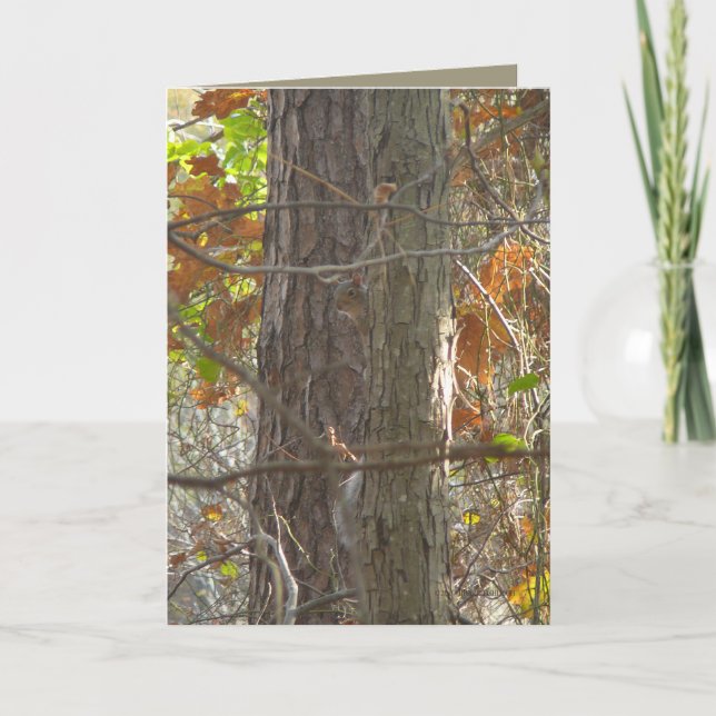 Neugier Karte (Vorderseite)