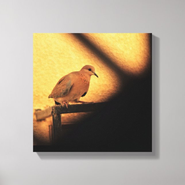 Neugier Leinwanddruck (Vorderseite)