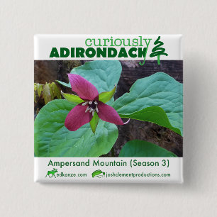 Neugierig Adirondack Knopf (EtzeichenTrillium) Button