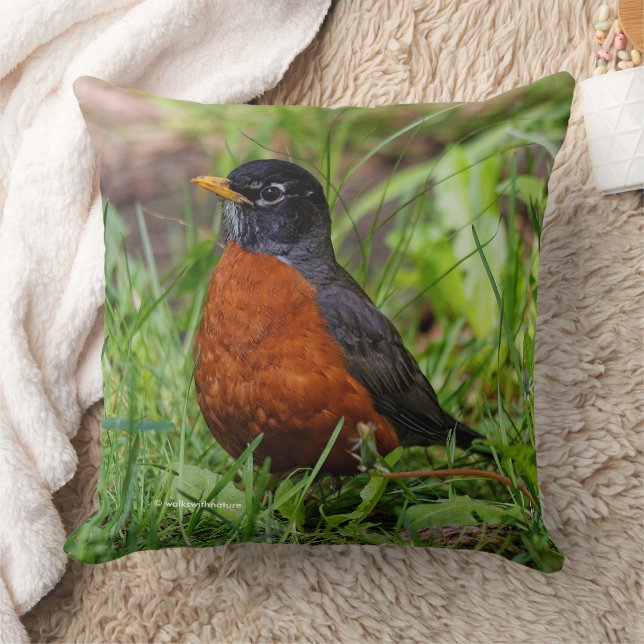 NeugierigAmerikanischer Robin Songbird im Gras Kissen (Decke)