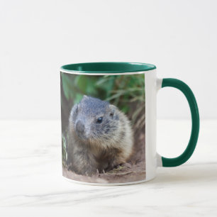 Neugierige Baby Marmot Tasse