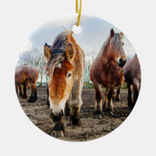 Neugierige belgische Entwurfs-Pferde von unterhalb Keramik Ornament