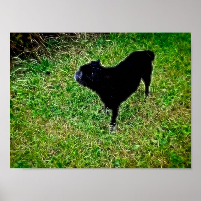 Neugierige Canine in brillanten Fibers auf Black Poster (Vorne)