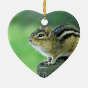 Neugierige Chipmunk-Verzierung Keramik Ornament