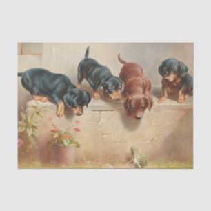 Neugierige Dachshund-Welpen und ein Frosch von Rei Seidenpapier