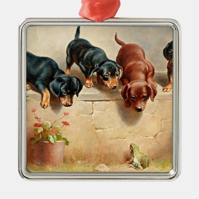 Neugierige Dackel Welpen und Frosch Ornament Aus Metall (Vorne)