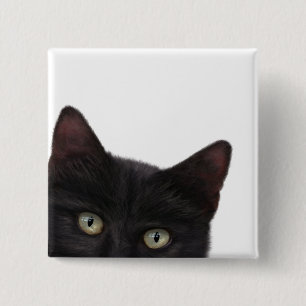 Neugierige, digitale Bilder von Kitty Button
