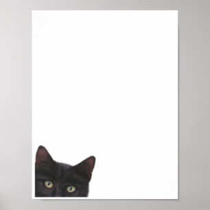 Neugierige, digitale Bilder von Kitty Poster