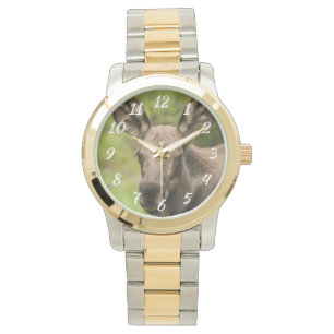 Neugierige Elose Armbanduhr