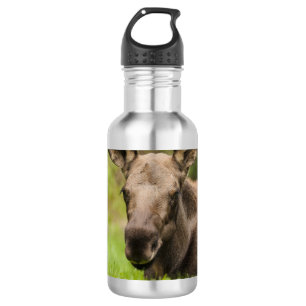 Neugierige Elose Edelstahlflasche