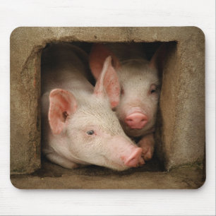 Neugierige Ferkel Mousepad