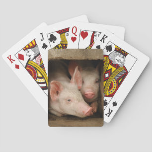 Neugierige Ferkel Spielkarten