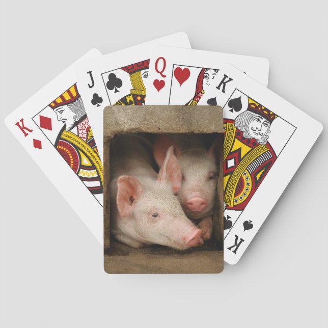 Neugierige Ferkel Spielkarten (Rückseite)