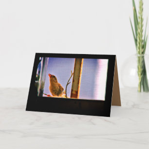 Neugierige Fink Karte