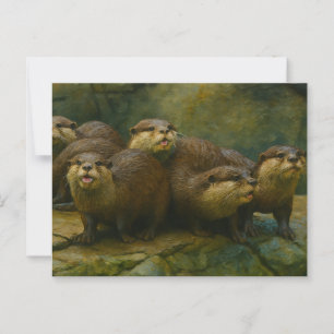 Neugierige Firma - Otter Family on Rocks Postkarte