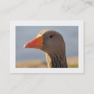 Neugierige Gans (gerändert) Visitenkarte