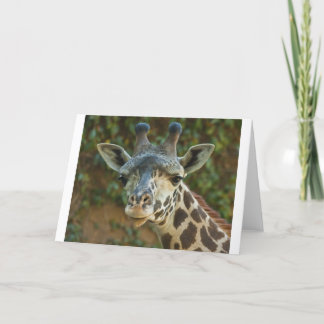 Neugierige Giraffe Karte