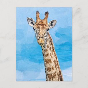 Neugierige Giraffe Postkarte