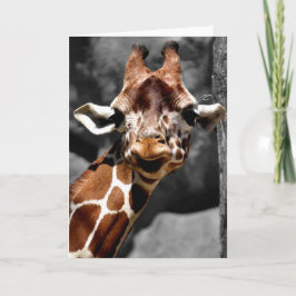 Neugierige Giraffen-Gruß-Karte Karte