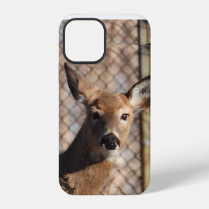Neugierige Hirsche im Wald  iPhone 12 Hülle