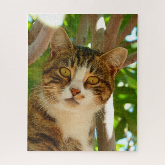 Neugierige Katze (Vertikal)