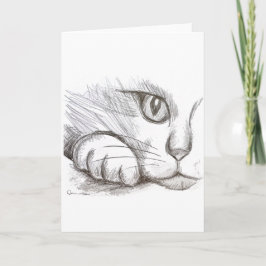 Neugierige Katze Bleistiftzeichnung Grußkarte Karte