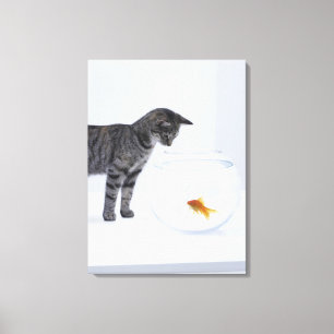 Neugierige Katze, die Goldfische in der Fischschal Leinwanddruck