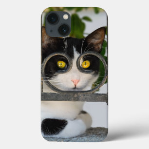 Neugierige Katze mit Spektakeln Rahmen ein lustige Case-Mate iPhone Hülle
