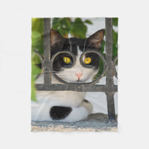 Neugierige Katze mit Spektakeln Rahmen lustig - ge Fleecedecke