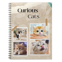 Neugierige Katzen Collage Notizblock
