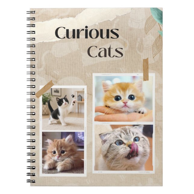 Neugierige Katzen Collage Notizblock (Vorderseite)