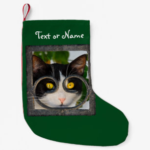 Neugierige Katzenaugen mit Spektakeln Funny Foto Kleiner Weihnachtsstrumpf