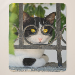 Neugierige Katzenaugen mit Spektakeln Funny Foto Sherpadecke