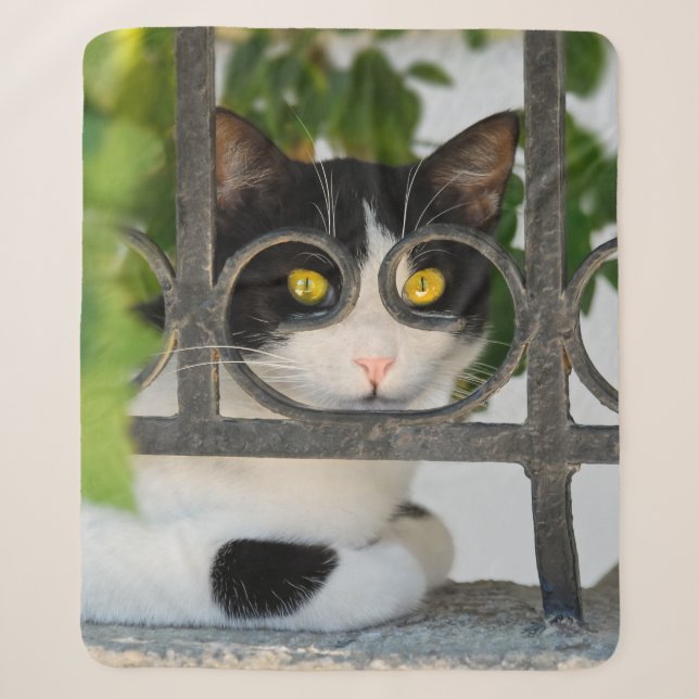 Neugierige Katzenaugen mit Spektakeln Funny Foto Sherpadecke (Vorderseite)
