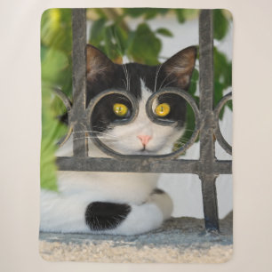 Neugierige Katzenaugen mit Spektakeln Funny Foto Sherpadecke