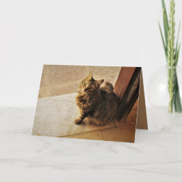 Neugierige Kitty Karte