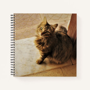 Neugierige Kitty Notizbuch