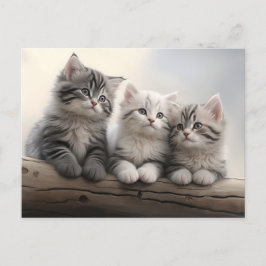 Neugierige Kleine - Niedliche Tabby Kittens Postkarte