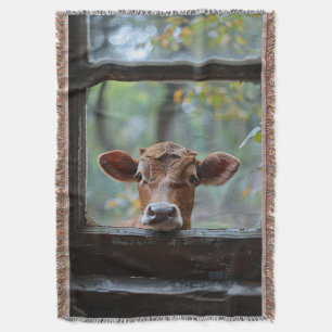 Neugierige Kuh durch ein Fenster schauen Decke