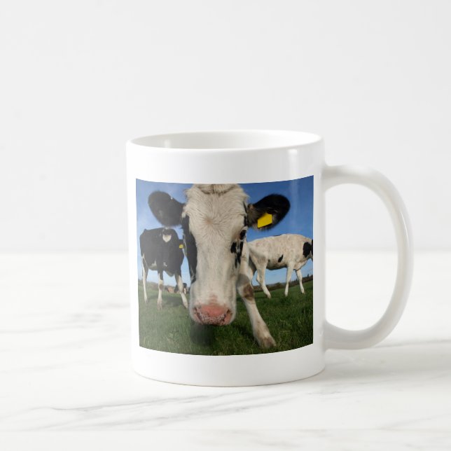 Neugierige Kuh Kaffeetasse (Rechts)