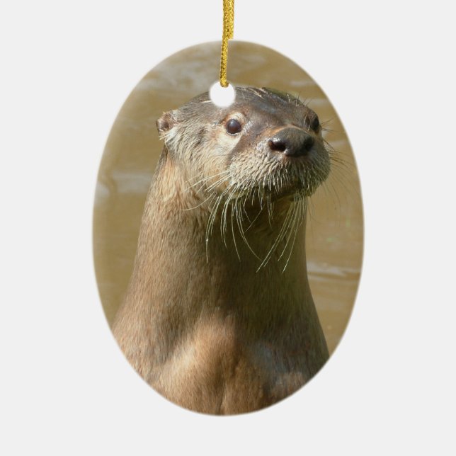 Neugierige Otter-Verzierung Keramikornament (Vorne)