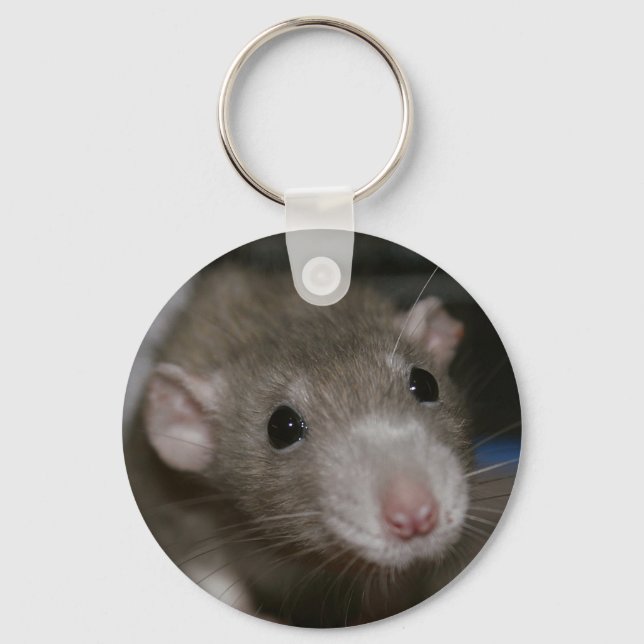 Neugierige Rat Schlüsselanhänger (Vorderseite)