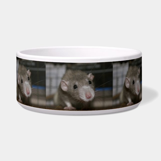 Neugierige Ratte Napf (Vorderseite)