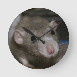 Neugierige Ratte Runde Wanduhr
